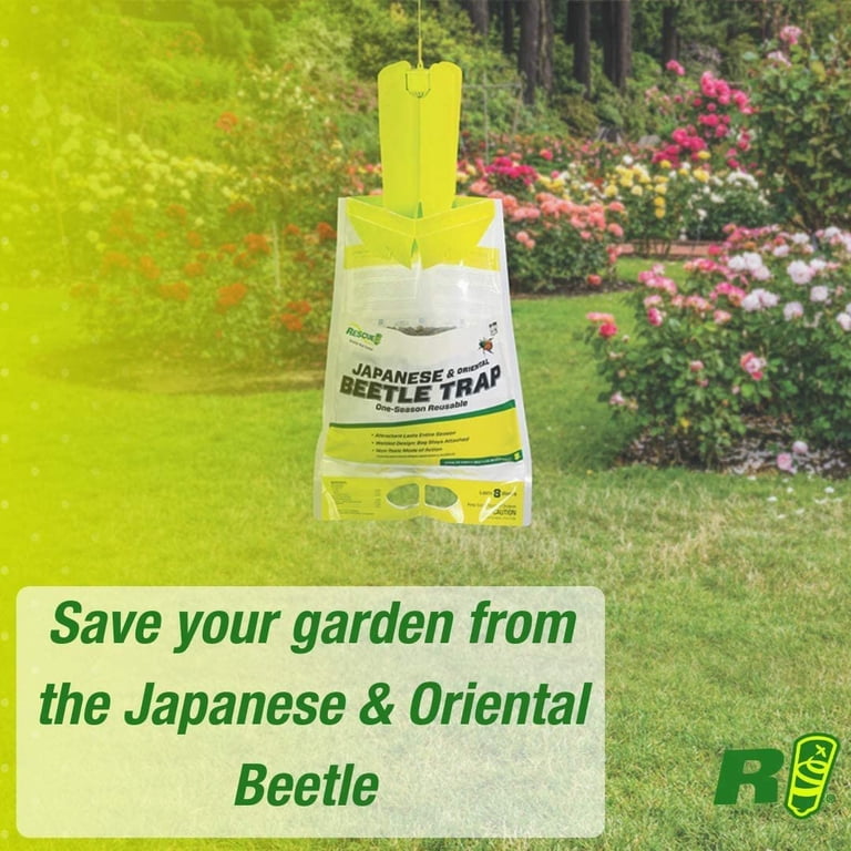RESCUE!, Japanese & Oriental Beetle Trap, 3 Traps, Reusable