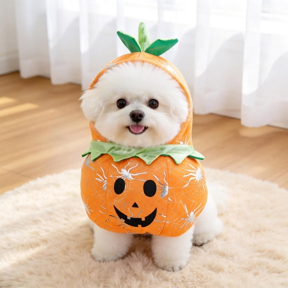 Aoznliie Dog Clothes, Halloween Pumpkin Furry Outfit for Small Dogs, 9.8x15.7 inch Soft Pet Costume for Party, Orange