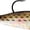 Off-White, variant on Storm WildEye Swim Shad 2" Fishing Lure 1/8oz Baby Bass 3pcs