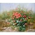 thumbnail image 3 of Motz, Peter 23x20 Black Modern Framed Museum Art Print Titled - Poppies and friends, 3 of 5