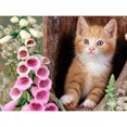 thumbnail image 1 of Taladro Diamante Pintura (DF3466) 5D DIY Animal Completo Punto de Cruz Bordado (Cat04) 45x60cm Hugtrwg Para estrenar, 1 of 1
