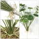 thumbnail image 4 of 2 hojas de loto artificiales decorativas para fiestas., 4 of 8