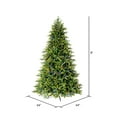 thumbnail image 3 of Vickerman 9' x 64" Jersey Fraser Fir Artificial Christmas Tree, LED Color Changing Mini Lights, 3 of 6