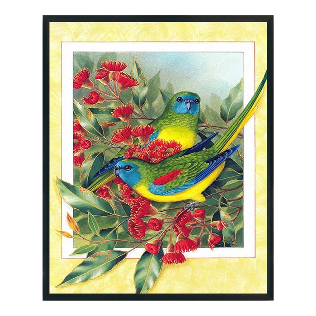 Cuadros Decorativos Rainbow Lorikeet punto de cruz completo 11CT hilo de algodón DIY impreso bordado Kit Ehuebsd embutido en tela