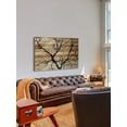 thumbnail image 4 of Parvez Taj Branching Out III Pinewood Wall Art, 12" x 18", 4 of 7