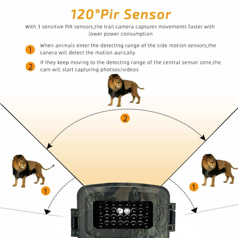 Mini Trail Camera 1080P HD Wildlife Scouting Hunting Game Camera with IR Night Vision Waterproof Video Camera