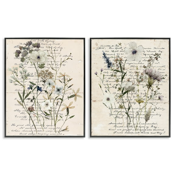 Stupell Industries Vintage Letters with Botanicals Plants & Flowers Painting Black Framed Art Print Wall Art, 11 x 14, Set of 2