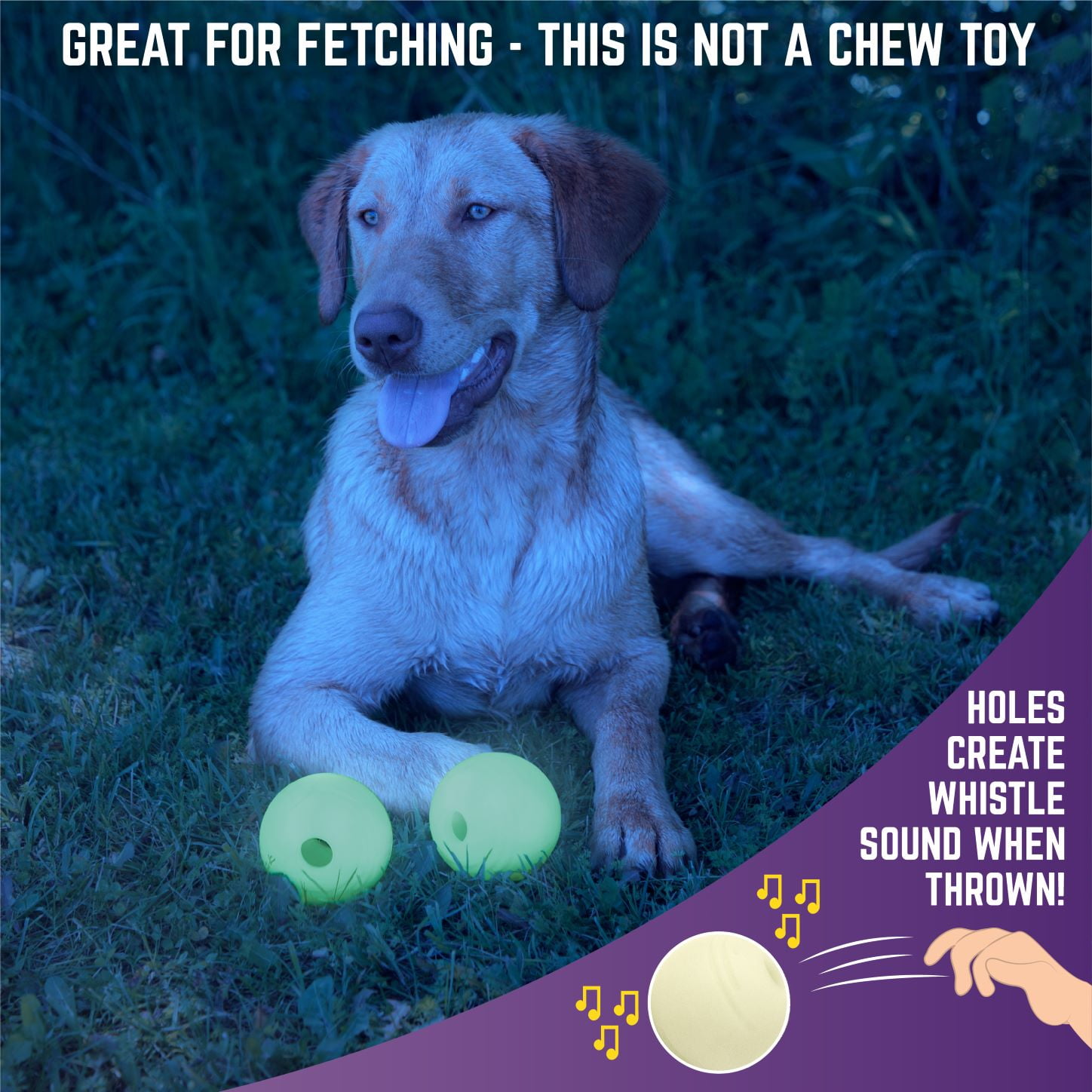 Chew King By Mammoth Dog Toy 3 Inch Durable Rubber Fetch Glow Balls (2-Pack), Dog Toy