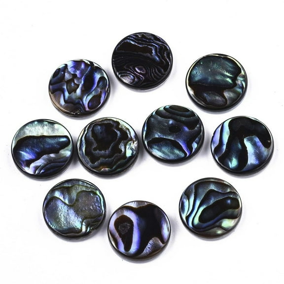 Natural Abalone Shell/Paua Shell Cabochons with Freshwater Shell Flat Round Colorful 12x3mm