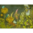 thumbnail image 2 of Zarris, Chariklia 18x14 Black Ornate Wood Framed with Double Matting Museum Art Print Titled - Birding Collection A, 2 of 4