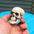 thumbnail image 4 of PENGXIANG Halloween  Artificial Skull Head Model Skull Bone Scary Horror Skeleton Ornament, 4 of 6