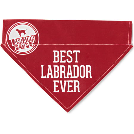 Pavilion - Best Labrador Ever - Red Canvas Large Dog Bandana Collar - 12