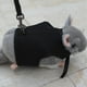 thumbnail image 4 of Campana de arnés para mascotas pequeñas, chaleco acolchado cómodo sin tirones, nailon duradero, juego de correa de arnés para cobayas durante todo el año para conejitos pequeños, hurones, ratas,, 4 of 8