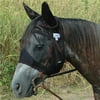 Cashel CAQRYSE Quiet Ride Fly Mask with Ears, Yearling