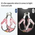 thumbnail image 3 of Harnais et Laisse Réfléchissants pour Chien, Gilet Ajustable pour Animal, Laisse de Marche pour Chiot, Chien, Chat, Chihuahua, Sangle de Poitrine, Accessoires, 3 of 6