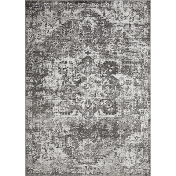 Loomaknoti Rhane Alemern 6' x 9' Gray Oriental Indoor Area Rug