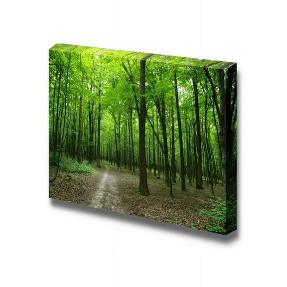 Canvas Prints Wall Art - Beautiful Scenery/Landscape Quiet Path in The Green Forest | Modern Wall Decor/Home Decoration Stretched Gallery Canvas Wrap Giclee Print & Ready to Hang - 32" x 48&