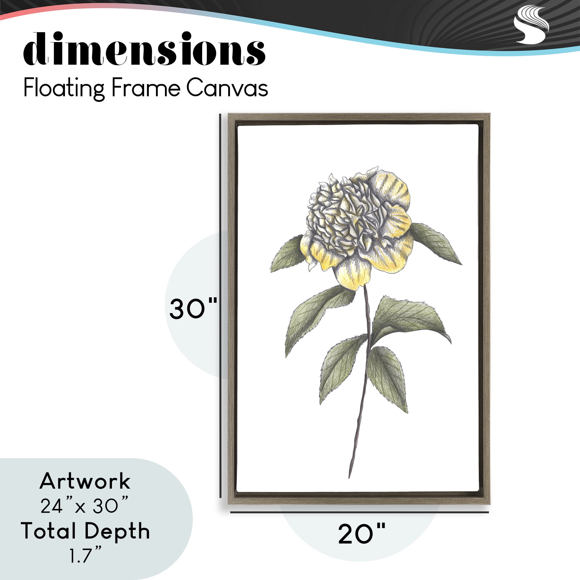 Camellia Flower Illustration Brown Framed Floater Canvas Wall Art, design by Cecilia Battaini