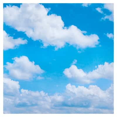 Recollections 48 Sheets (2,304 Total) Cloudy Sky 12" x 12" Cardstock Paper - Acid & Lignin Free Paper for Scrapbooks, Arts & Crafts - Bulk 48 Pack