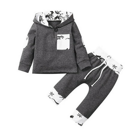 

Toddler Boys Winter Long Sleeve Cartoon White Dinosaur Printed Tops Pants 2PCS Outfits Baby Clothes Set Hooded