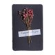 thumbnail image 2 of Fiudx Tarjeta de Felicitación con Flores Secas, Exquisito Diseño Manuscrito, Toque Floral Único, Mensaje Especial para Tus Seres Queridos, Ideal para Cumpleaños, Aniversarios, Navidad y San Valentín., 2 of 6