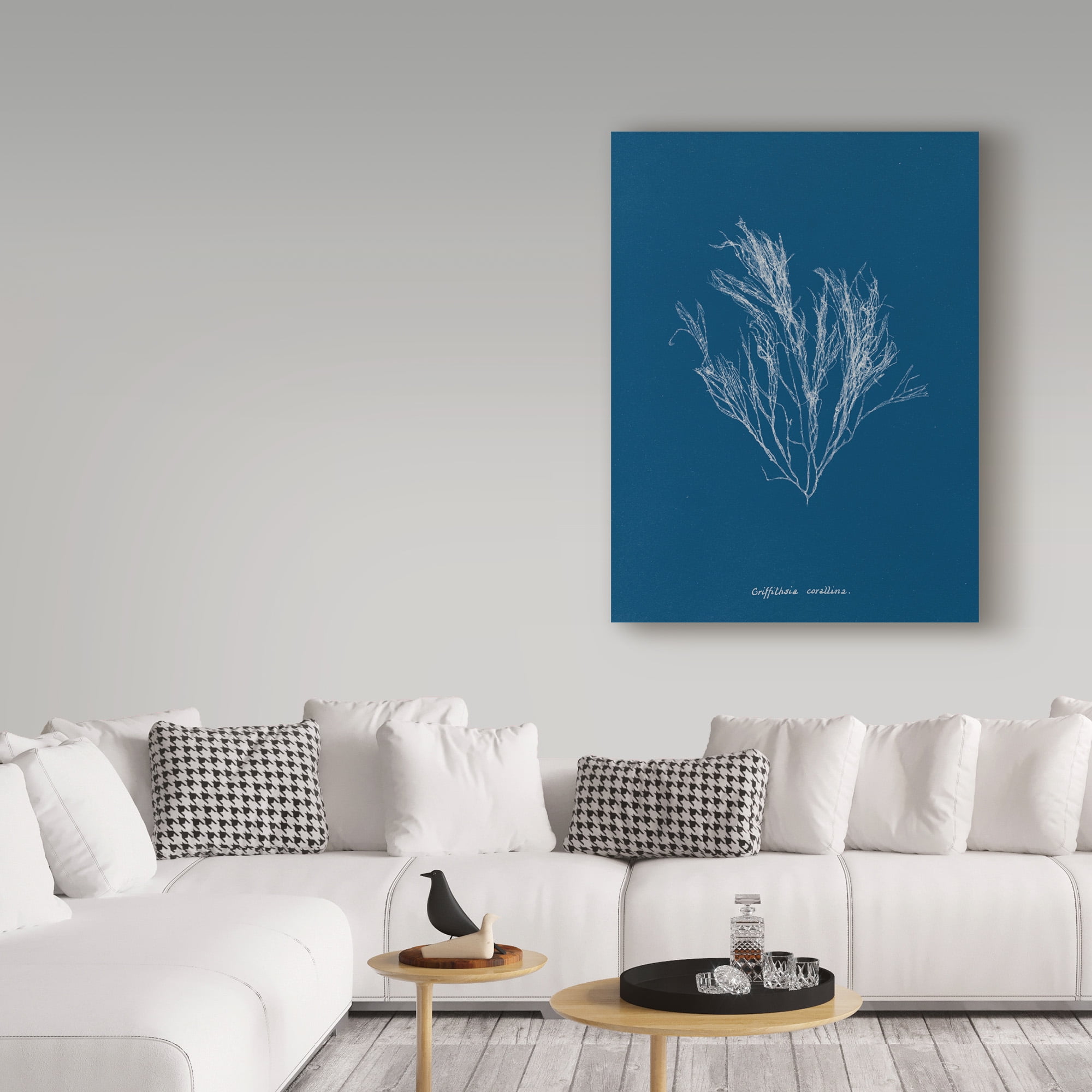 Trademark Fine Art 'Delicate Coral III' Canvas Art by Wild Apple Portfolio