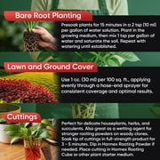 Hormex Vitamin B1 Rooting Hormone – Root Stimulator for Fast Root Growth & Stronger Plants – 16oz