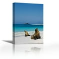 thumbnail image 1 of Galapagos Sea Lion pair on beach, Espanola Island, Galapagos Islands, Ecuador - Contemporary Fine Art Giclee on Canvas Gallery Wrap - wall décor - Art painting - 24 x 36 Inch - Ready to Hang, 1 of 2