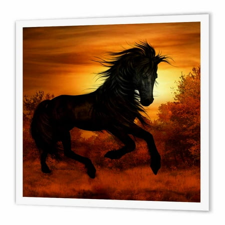 Iron Running Horse 3dRose Black Wild Horse Running in the Sunset, Iron On Heat Transfer, 10 by 10-inch, For White Material ()