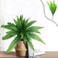 thumbnail image 1 of Simulated Green Plant Persian Fern Silk Fern Christmas Green Plant Decoration, 1 of 6