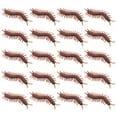 thumbnail image 1 of MasteelfCA 60 Pcs Jouets de Centipède Simulés Jouets de Centipède Réalistes Modèles de Centipède en Plastique Jouets de Farce de Fête, 1 of 8