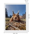 thumbnail image 2 of Diamond Art Kits for Adults, Close-Up Curious SquirrelDiamond Painting Kits for Beginners, Frameless Round 5D Full Drill Diamonds Art Gem Art Crafts Home Decor Gifts, 2 of 8