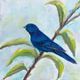 thumbnail image 2 of Vertentes, Jeanette 20x20 Black Ornate Wood Framed with Double Matting Museum Art Print Titled - Indigo Bunting, 2 of 4