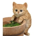 thumbnail image 3 of Lifelike Pot Pal Hanging Orange Tabby Cat Statue 8"Tall With Glass Eyes Decor, 3 of 9