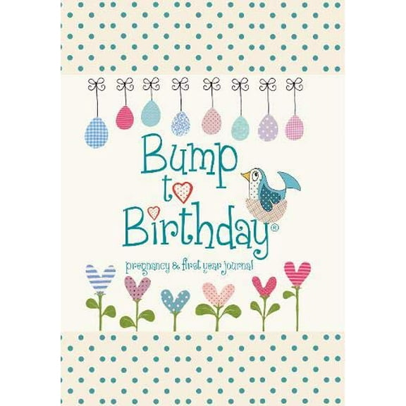 Bump to Birthday, Pregnancy & First Year Journal Helen from you to me,Stephens (Hardcover)
