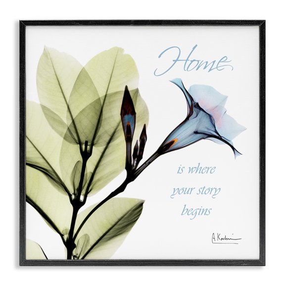 Stupell Industries Contemporary Your Story Begins Blue Floral Black Framed Giclee Art, 12 x 12, by Albert Koetsier