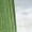 Light Green, variant on Fashion Clothing Custom T-Shirts Casual Shirts For Women