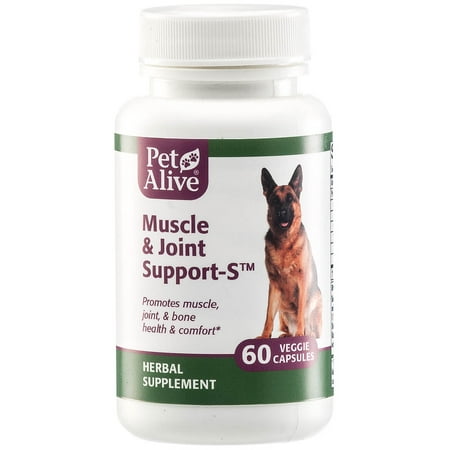 UPC: 0810845012751 | PetAlive Muscle & Joint Support-S for Bone and Joint Health and Comfort  60 Caps
