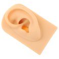 thumbnail image 3 of Weiweiguan Modèle d'Oreille Simulé en Silicone Perçage d'Oreille Accessoire d'Apprentissage, 3 of 6