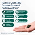 thumbnail image 4 of Metagenics PhytoMulti Multivitamin with Iron - Daily Multivitamins with Phytonutrients - Multivitamin for Men & Women - PhytoMulti Vitamin Supplement - with Iron, Zinc & B6 Vitamins - 60 Tablets, 4 of 10