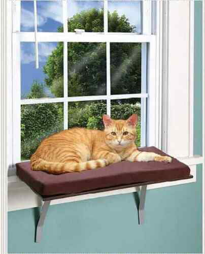 Deluxe Pet Cat Window Perch Seat Bed Kitty Shelf Indoor ...