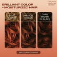 thumbnail image 4 of Clairol Professional Textures & Tones, #8Ro Flaming Desire, 1 oz, 4 of 5