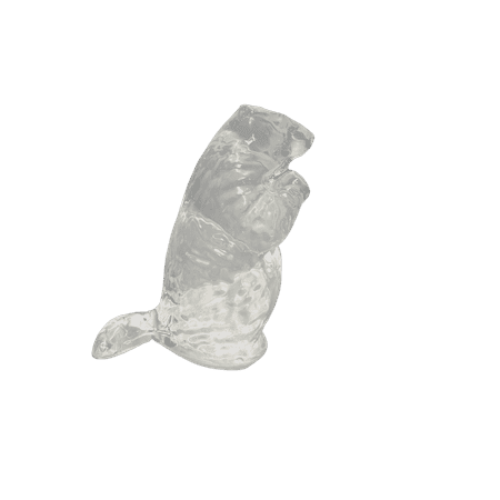 Gel Groundhog 3-D Target