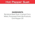 Blue Seal Premium Hot Pepper Suet Cake for Wild Birds 11oz Suet