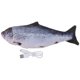 thumbnail image 1 of Juguete de pez artificial recargable por USB, juguete eléctrico para gatos, divertido juguete para saltar (salmón azul), 1 of 7