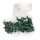 thumbnail image 3 of 10LED Artificial Hoja Verde Guirnalda Luces de Cadena Decoración del Hogar Cadena de Luz Luz Blanca Cálida para el Hogar Cocina Jardín Boda Pared, 3 of 14