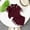 F-135Wine, variant on Toddlers Boys Outfits Short Sleeve Lapel Solid Color Top And Shorts Two Piece Comfortable Cute Sets For Casual Daily Wear,,9-12 Months