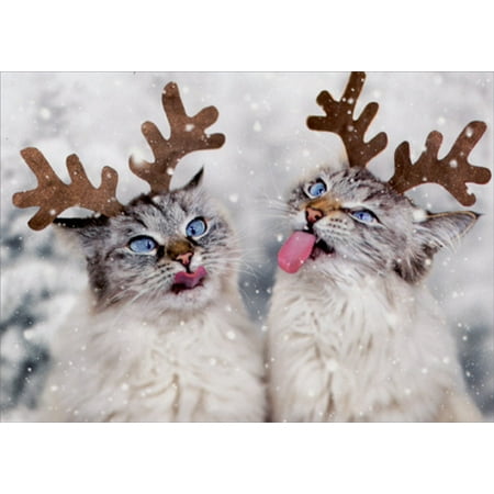 Avanti Press Reindeer Cats Catching Snowflakes Box of 10 Christmas Cards