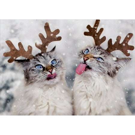 Avanti Press Reindeer Cats Catching Snowflakes Box of 10 Christmas