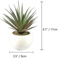 thumbnail image 3 of Belleza realista para su hogar: suculentas artificiales de cerámica, 3 of 4